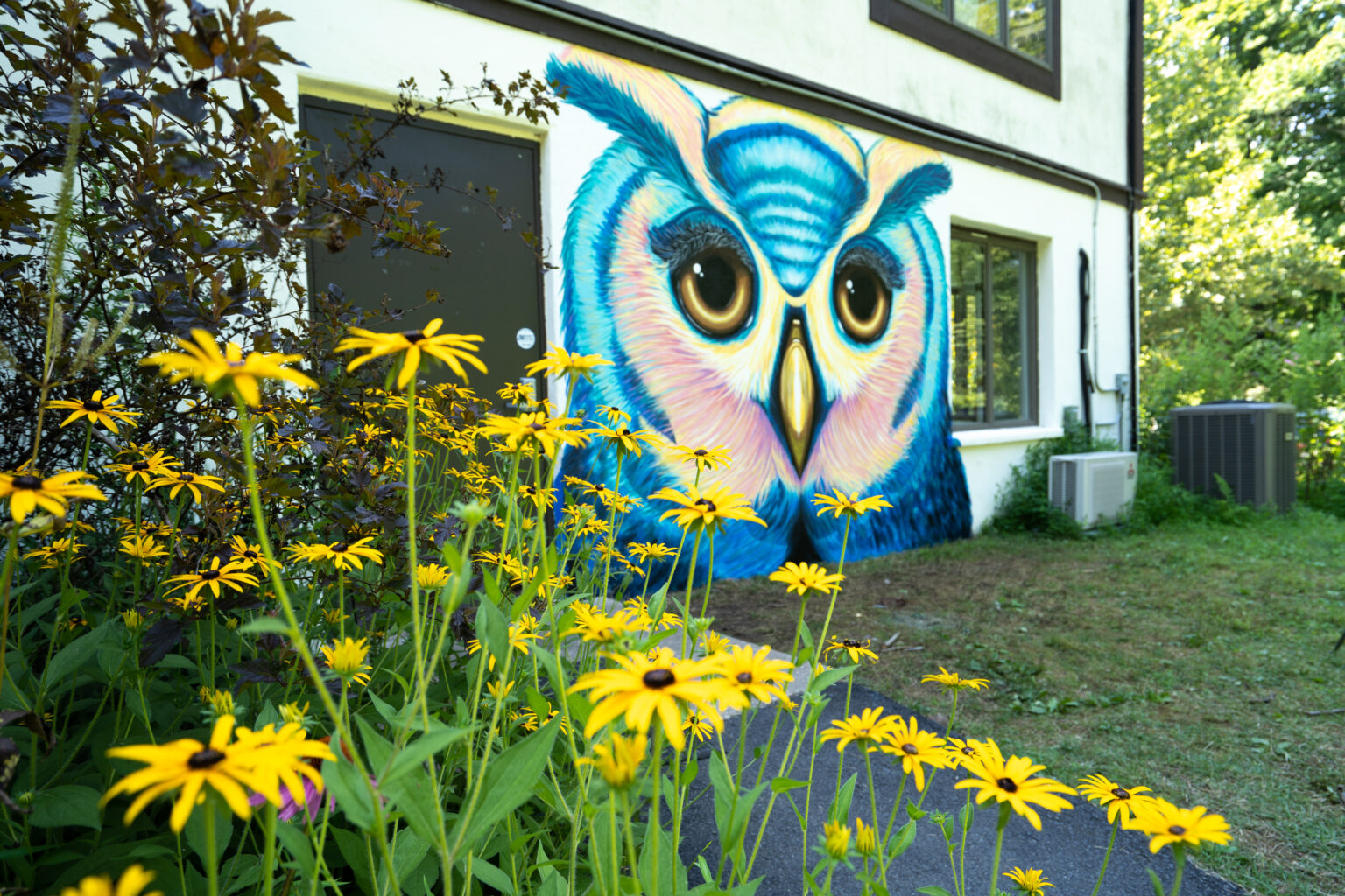 Barn owl mural in upstate New York, Animalize World Mural Tour